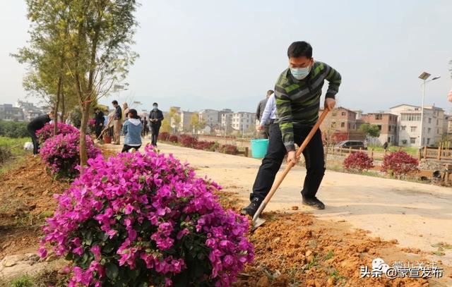 蒙山县再部署2020年造林绿化工作春季植树活动 蒙山县再部署2020年造林绿化工作春季植树活动