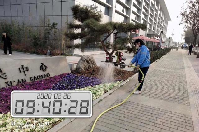 春伊始•绿护忙｜今年底，西安将新增城市绿地600万平方米，新建提升23个城市公园