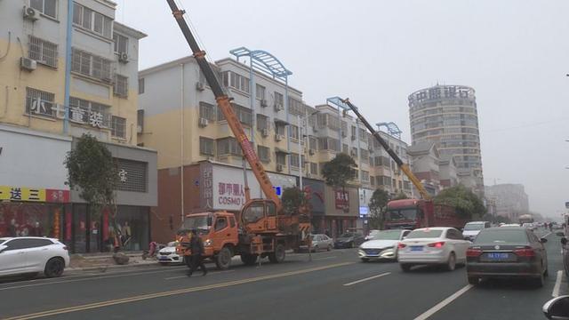 新乡封丘:住建局开展城区道路绿化补植 营造花海封丘 新乡封丘:住建局开展城区道路绿化补植 营造花海封丘