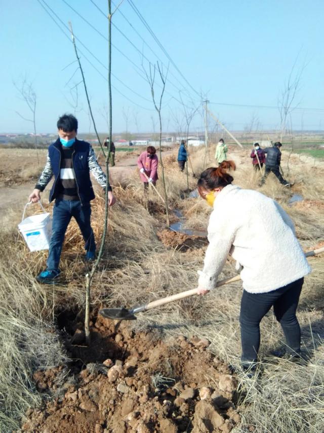 磁县磁州镇:抢抓时节忙植树,防疫“绿化”两不误 磁县磁州镇:抢抓时节忙植树,防疫“绿化”两不误
