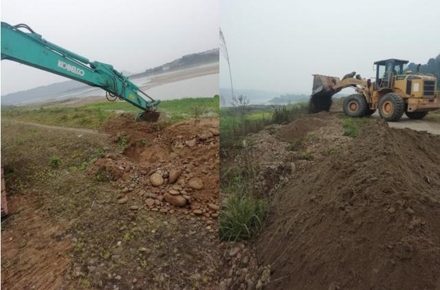 翠屏区思坡镇:不负春天之约 山川绿化植竹忙 翠屏区思坡镇:不负春天之约 山川绿化植竹忙