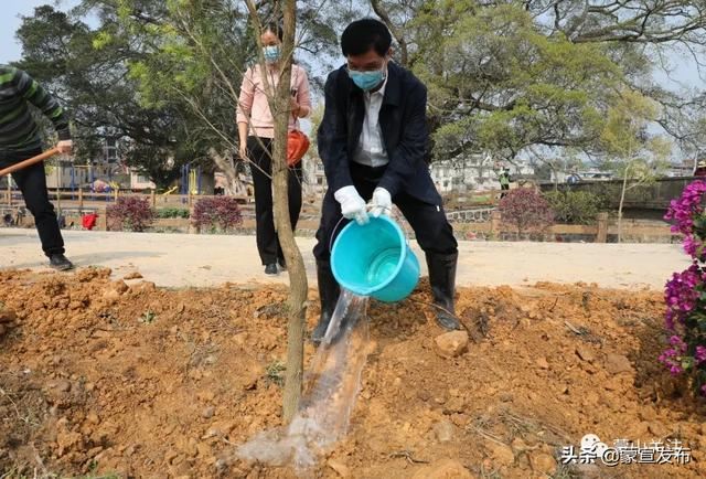 蒙山县再部署2020年造林绿化工作春季植树活动 蒙山县再部署2020年造林绿化工作春季植树活动