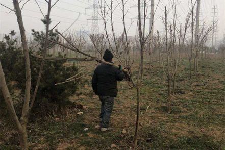 春伊始•绿护忙｜今年底，西安将新增城市绿地600万平方米，新建提升23个城市公园