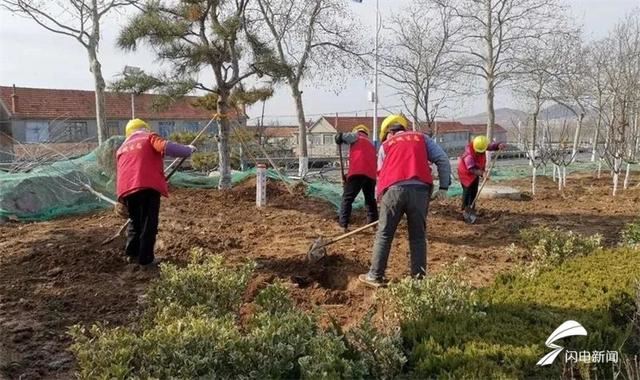 威海文登米山镇春季绿化全面启动 分批栽植各种苗木8.5万株