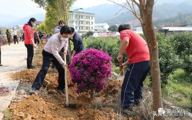 蒙山县再部署2020年造林绿化工作春季植树活动 蒙山县再部署2020年造林绿化工作春季植树活动