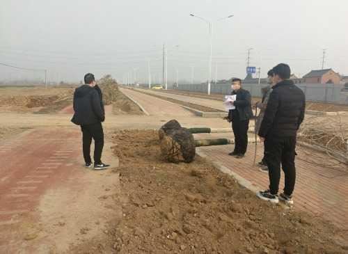 济源,防疫绿化两手抓,不负春光忙造林 济源,防疫绿化两手抓,不负春光忙造林