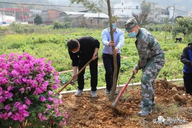 蒙山县再部署2020年造林绿化工作春季植树活动 蒙山县再部署2020年造林绿化工作春季植树活动