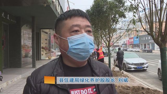 新乡封丘:住建局开展城区道路绿化补植 营造花海封丘 新乡封丘:住建局开展城区道路绿化补植 营造花海封丘