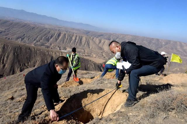 200万株树苗将“扎根”白虎山 榆中生态创新城绿化工程全面复工