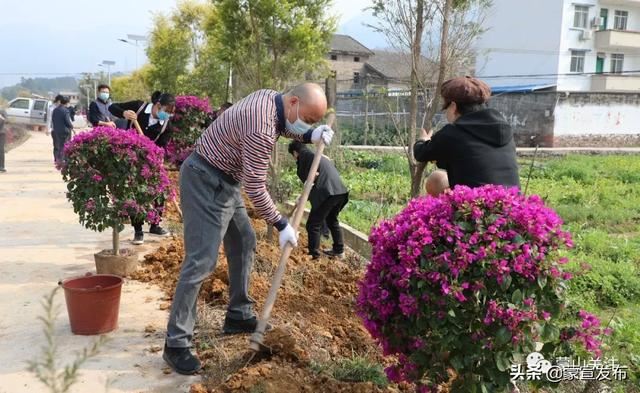 蒙山县再部署2020年造林绿化工作春季植树活动 蒙山县再部署2020年造林绿化工作春季植树活动