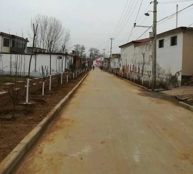 磁县磁州镇:抢抓时节忙植树,防疫“绿化”两不误 磁县磁州镇:抢抓时节忙植树,防疫“绿化”两不误