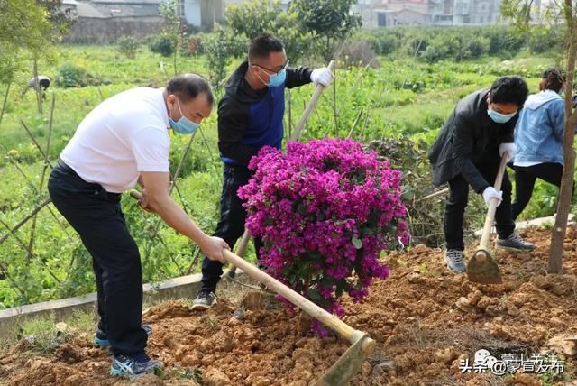 蒙山县再部署2020年造林绿化工作春季植树活动 蒙山县再部署2020年造林绿化工作春季植树活动