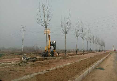 济源,防疫绿化两手抓,不负春光忙造林 济源,防疫绿化两手抓,不负春光忙造林