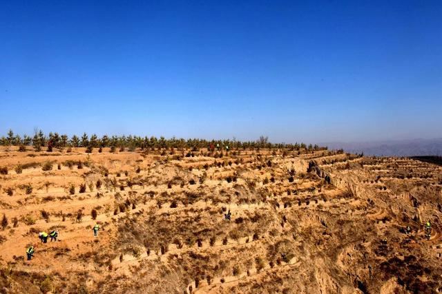 200万株树苗将“扎根”白虎山 榆中生态创新城绿化工程全面复工