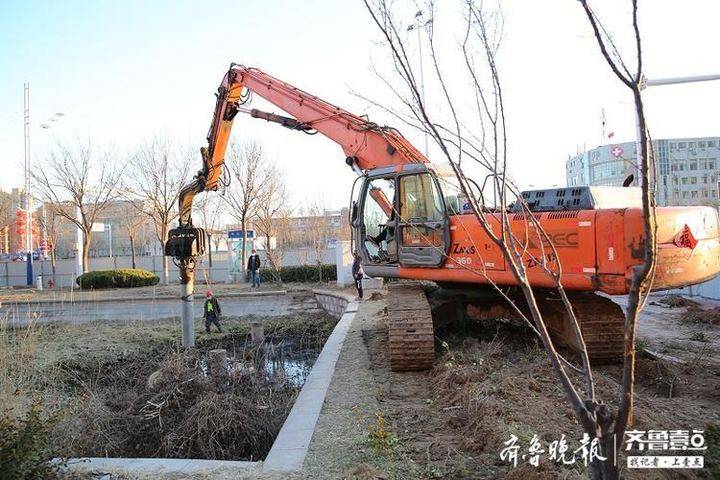 开始绿化种植！滨州33项绿化工程已陆续开工