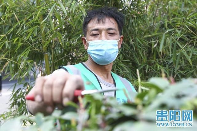 贵阳：疫情防控与城市绿化养护同促进