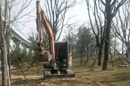 春伊始•绿护忙｜今年底，西安将新增城市绿地600万平方米，新建提升23个城市公园