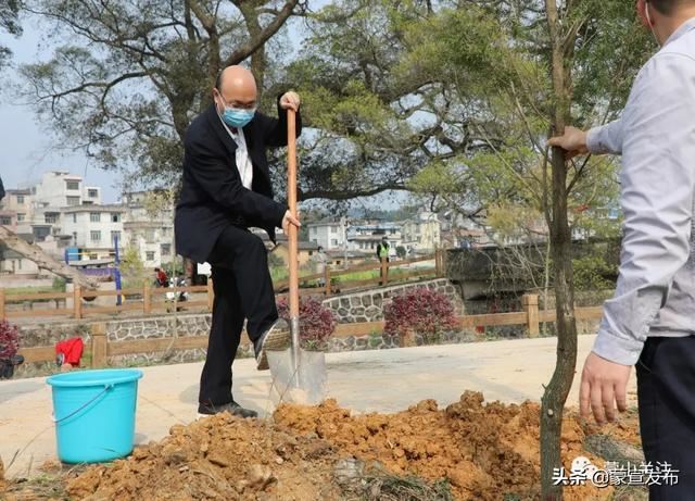 蒙山县再部署2020年造林绿化工作春季植树活动 蒙山县再部署2020年造林绿化工作春季植树活动