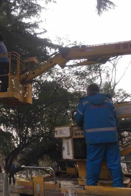 春伊始•绿护忙｜今年底，西安将新增城市绿地600万平方米，新建提升23个城市公园