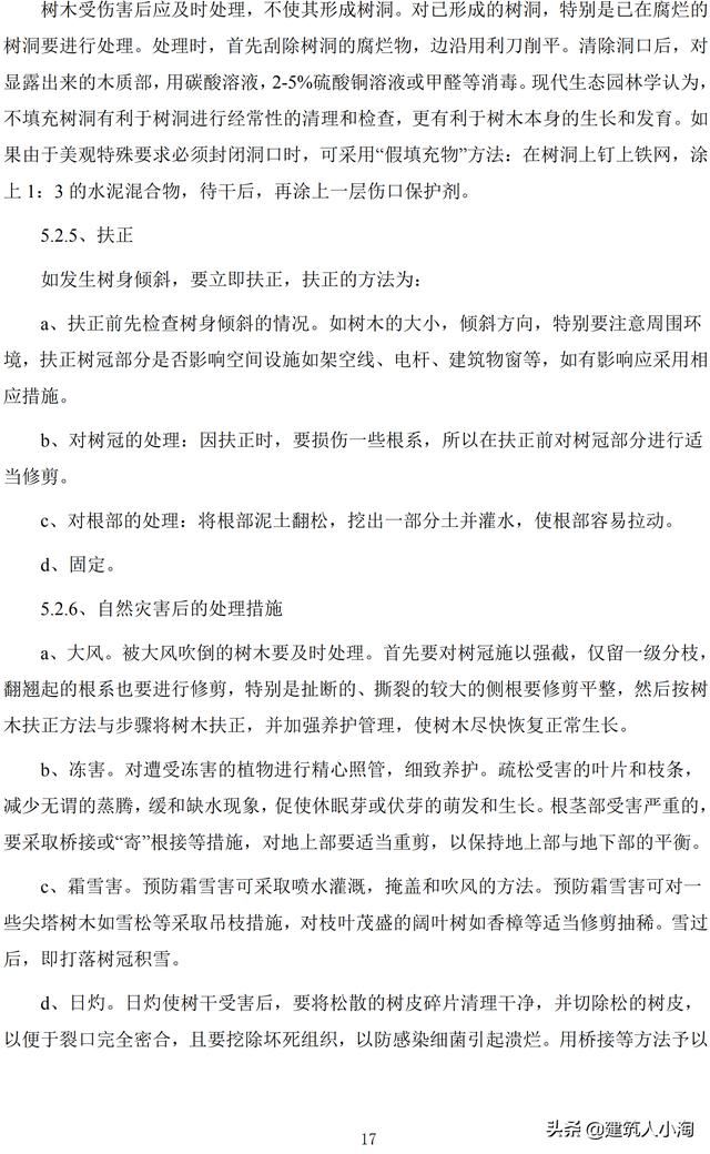 道路绿化工程施工方案(中建)