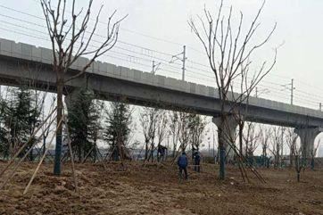 春伊始•绿护忙｜今年底，西安将新增城市绿地600万平方米，新建提升23个城市公园