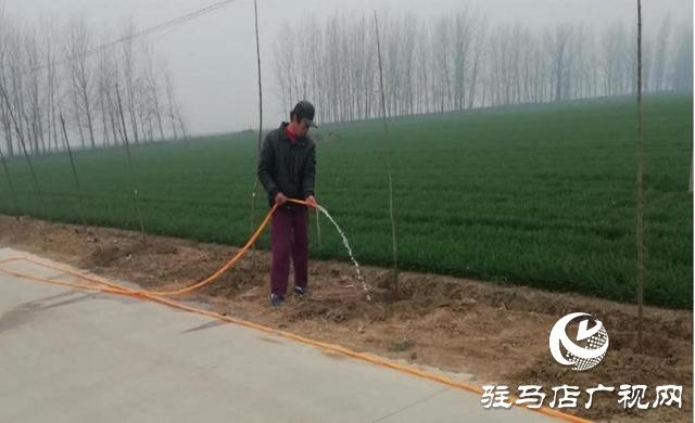 上蔡县西洪乡:国土绿化正当时 防疫造林两不误 上蔡县西洪乡:国土绿化正当时 防疫造林两不误