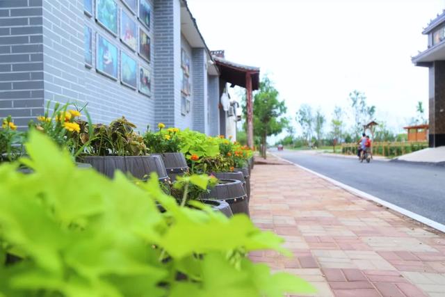 打造101个重点绿化村！23个精品绿化村！肥乡人看过来啦