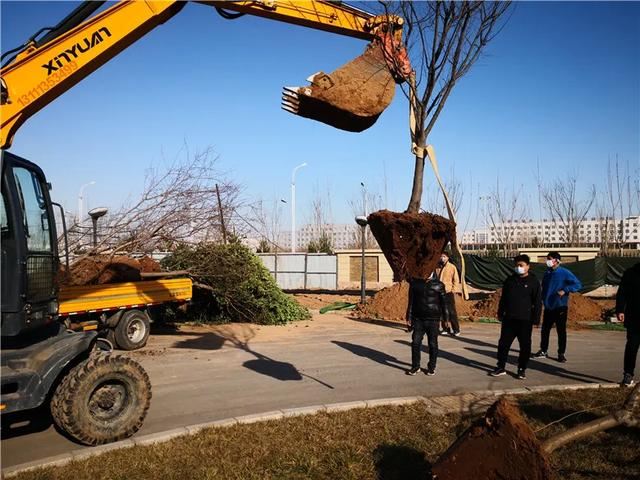 「春季绿化」邯郸自来水公司春季绿化工作全面推开