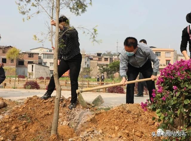 蒙山县再部署2020年造林绿化工作春季植树活动 蒙山县再部署2020年造林绿化工作春季植树活动
