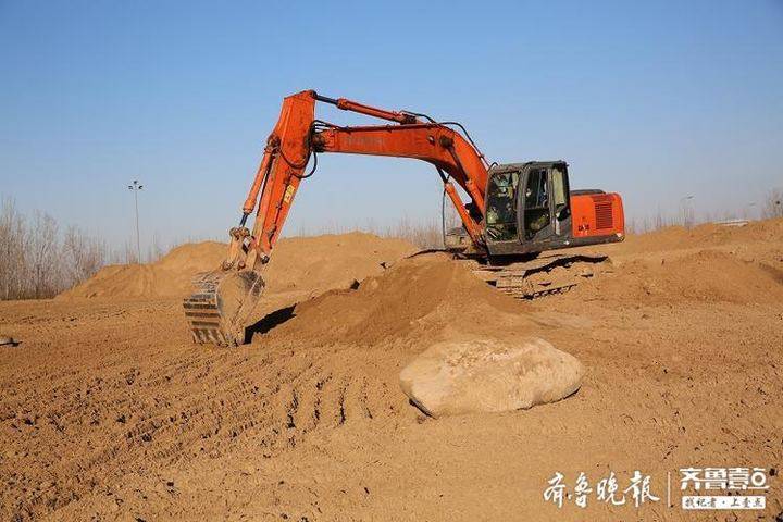 开始绿化种植！滨州33项绿化工程已陆续开工