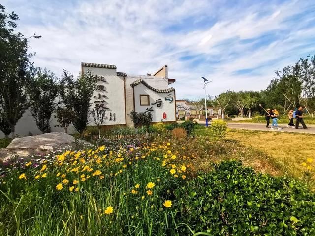 打造101个重点绿化村！23个精品绿化村！肥乡人看过来啦