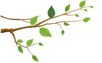 春伊始•绿护忙｜今年底，西安将新增城市绿地600万平方米，新建提升23个城市公园