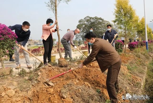 蒙山县再部署2020年造林绿化工作春季植树活动 蒙山县再部署2020年造林绿化工作春季植树活动