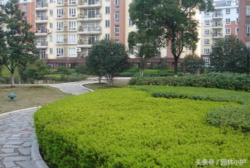 园林绿化养护10项主要工作