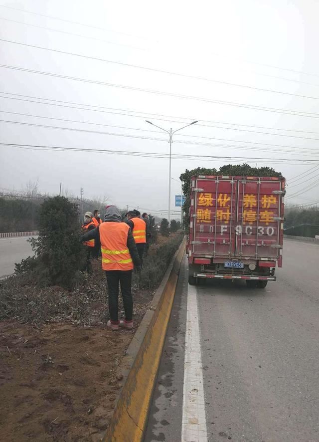 邯郸市复兴区【养护处】助力园博会，打响春季交通绿化第一枪