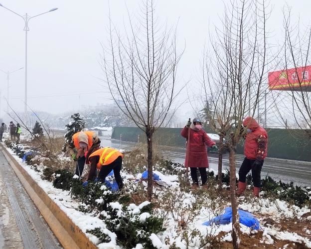 邯郸市复兴区【养护处】助力园博会，打响春季交通绿化第一枪