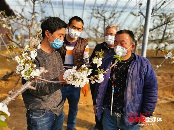 疫情防控不松劲造林绿化不停歇,宁阳开启绿色“充值” 疫情防控不松劲造林绿化不停歇,宁阳开启绿色“充值”