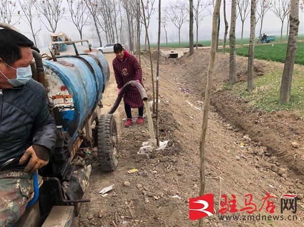 上蔡县五龙镇：全力推进春季廊道绿化农田林网建设