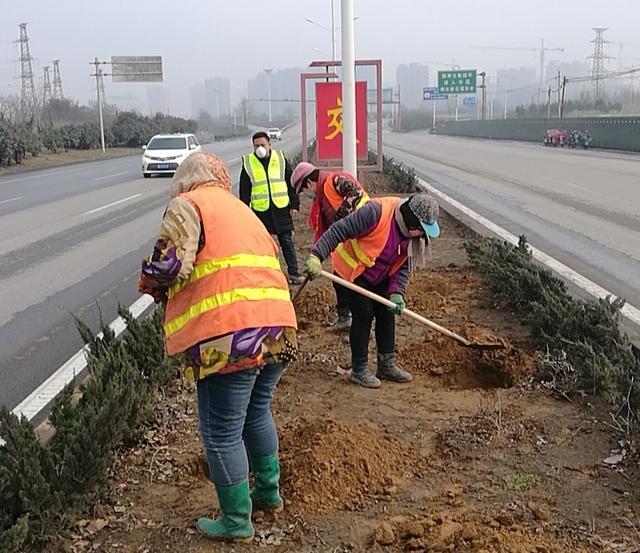 邯郸市复兴区【养护处】助力园博会，打响春季交通绿化第一枪