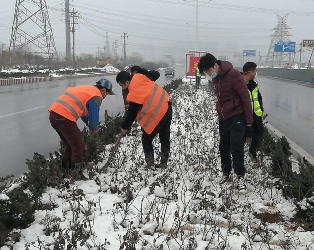 邯郸市复兴区【养护处】助力园博会，打响春季交通绿化第一枪