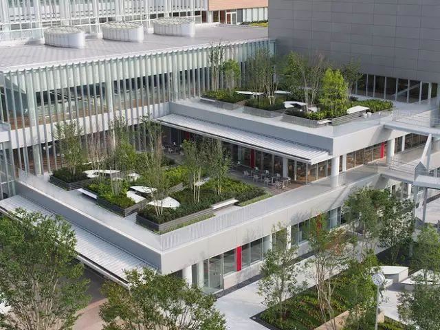 屋顶绿化知识详解，详细到什么程度你看看