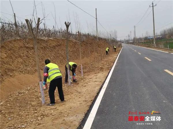 疫情防控不松劲造林绿化不停歇,宁阳开启绿色“充值” 疫情防控不松劲造林绿化不停歇,宁阳开启绿色“充值”