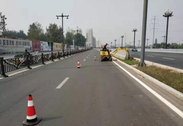 园林景观：行道树栽植技术解析