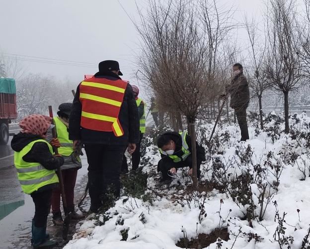 邯郸市复兴区【养护处】助力园博会，打响春季交通绿化第一枪