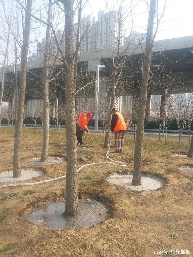 中原区绿化所:防疫绿化两手抓:“待疫情过后让市民看到满园春色” 中原区绿化所:防疫绿化两手抓:“待疫情过后让市民看到满园春色”