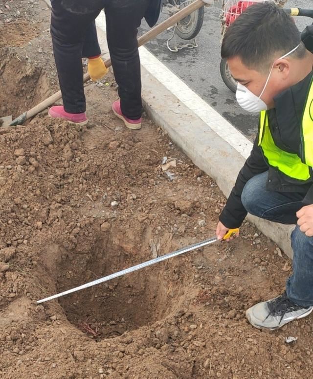 邯郸市复兴区【养护处】助力园博会，打响春季交通绿化第一枪