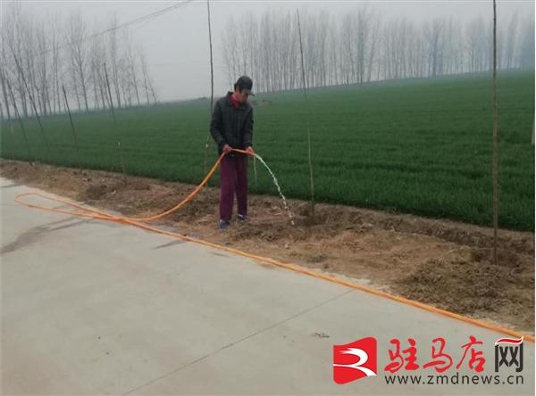 上蔡县西洪乡：防疫造林两不误 国土绿化正当时