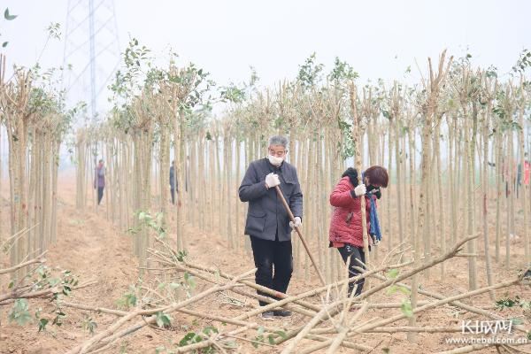 永年抢抓时令全面推进造林绿化