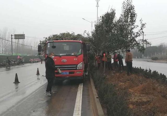 邯郸市复兴区【养护处】助力园博会，打响春季交通绿化第一枪