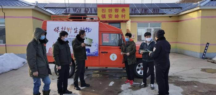 吉林敬信湿地迎来北归候鸟群 吉林敬信湿地迎来北归候鸟群